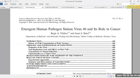 Rothschild BlackRock WEF Power...