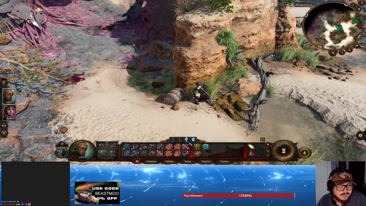Never played DnD so first time playing Baldur's Gate 3