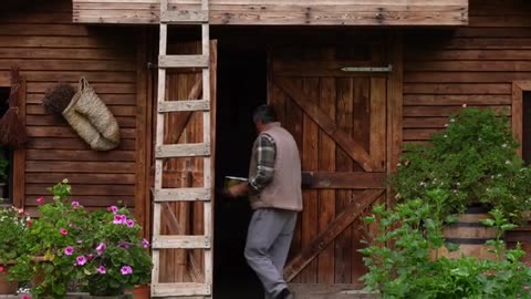 Homemade Beef Dolma in Foraged Grape Leaves Village Method_part11