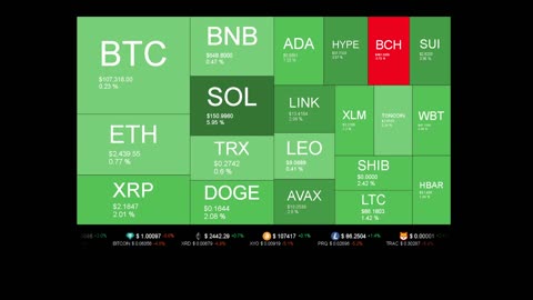 Live Coin Price Watch!