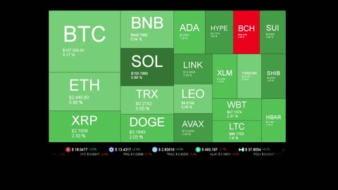Live Coin Price Watch!