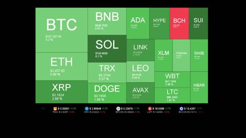 Live Coin Price Watch!