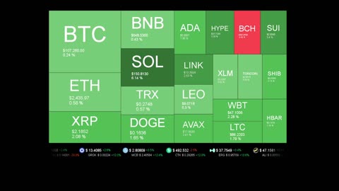 Live Coin Price Watch!