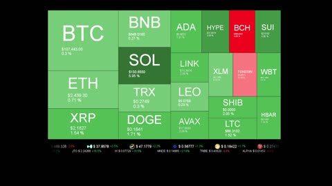 Live Coin Price Watch!