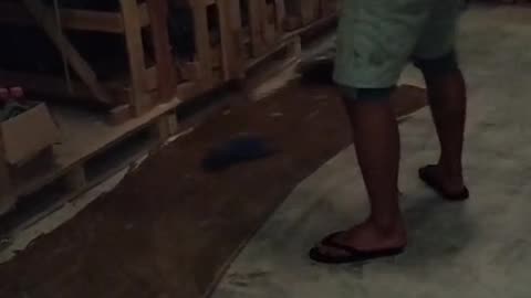 Cleaning the Warehouse – Part 10 | Transformation Complete