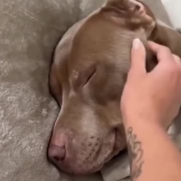 A smile for your timeline.. 😊