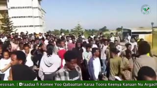 Qophii Addaa ONM-ABO Sadaasa 17-2025 itti dhiyaadhaa!