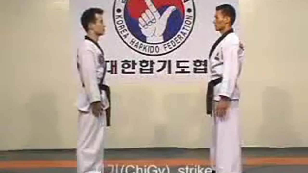 Hapkido