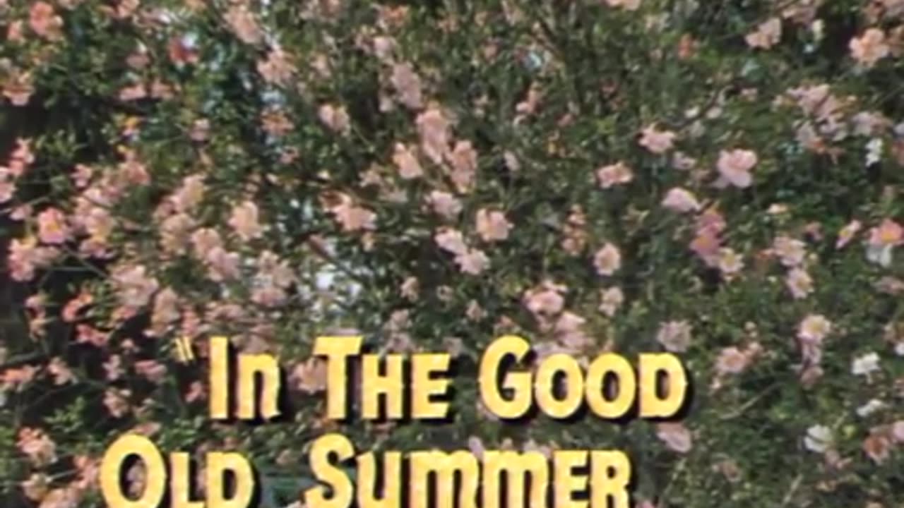 In the Good Old Summertime (1949 film)