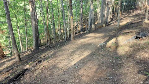 Trail run at Lake Allatoona - Pan of lake