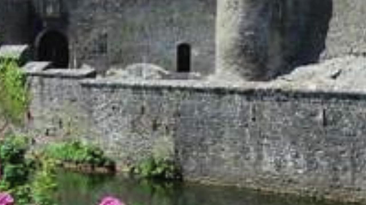 Cahir Castle