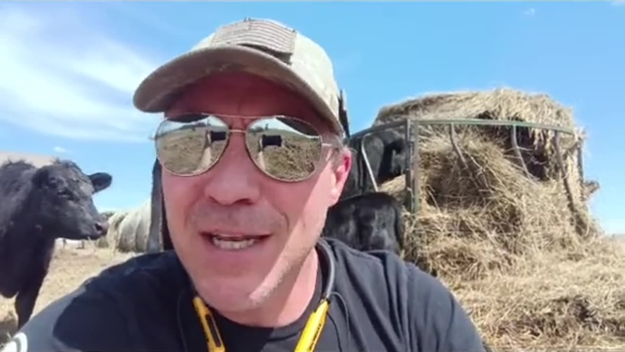 Tariff's Put An End to the Globalist Plan