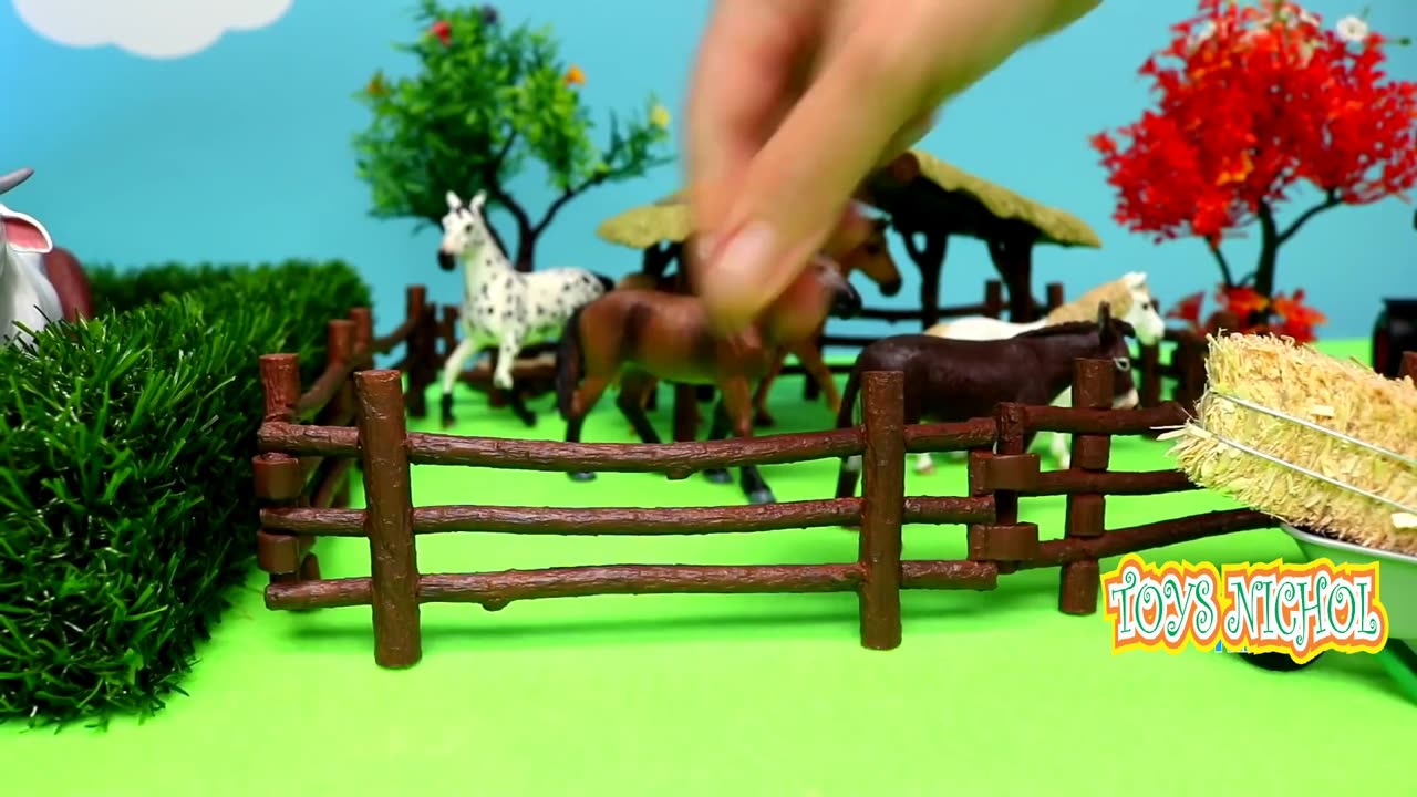 Female Zebra Befriends the Mare and Eats Together in the Field