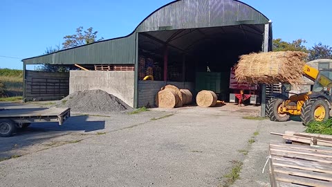 Loading Roof Thatching Reed in Ireland