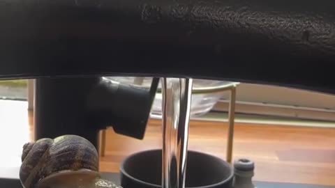 😂💦 This Hydro Homie Will Quench Your Thirst for Laughs! | FunFM