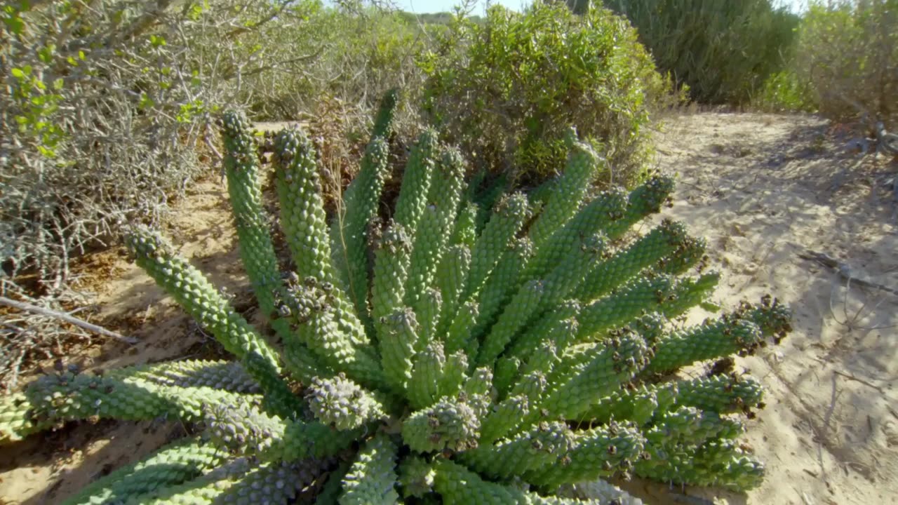 Africa's Hidden Kingdom: Series 1