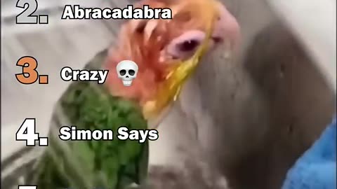 funny incidents