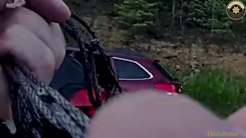 Body cam video shows bear stuck after breaking into car and being released