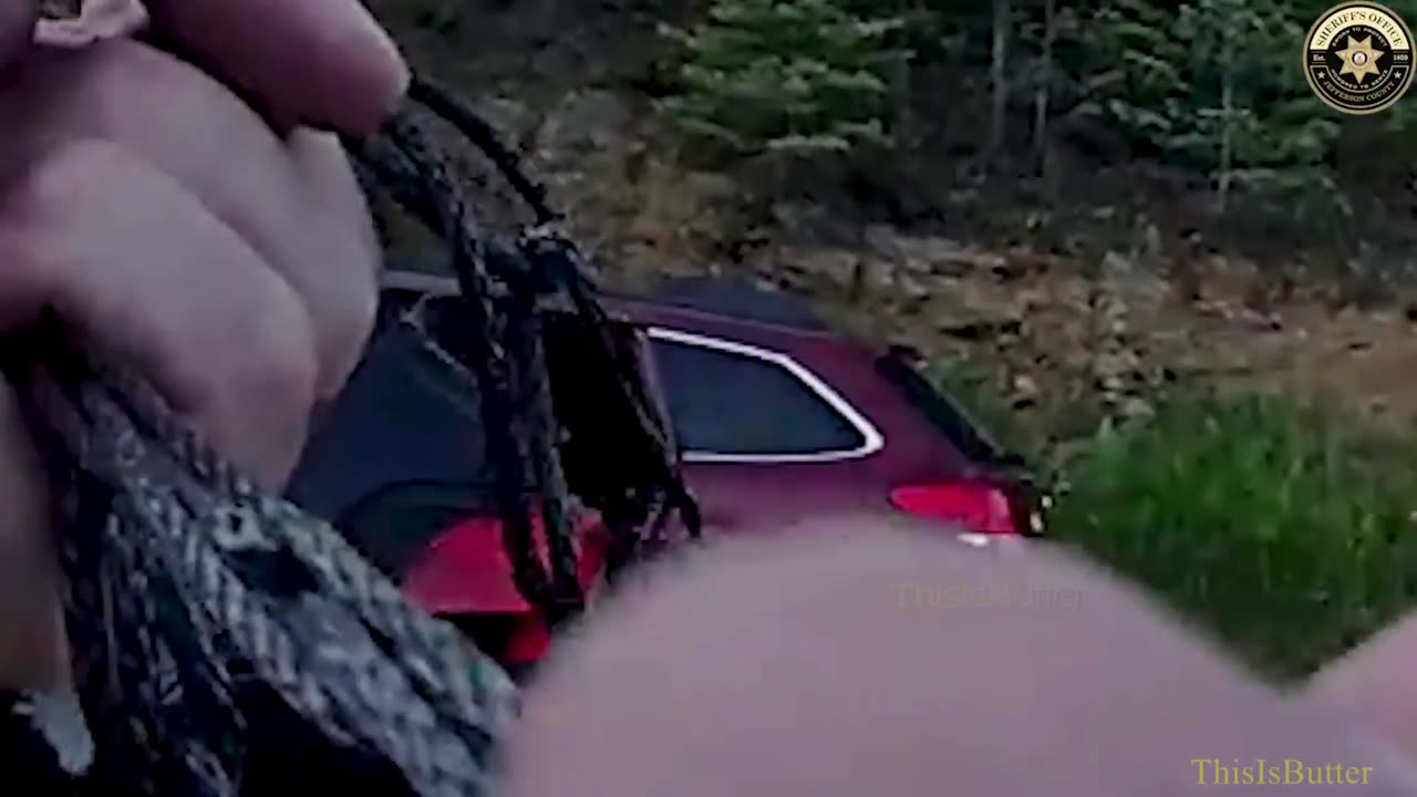 Body cam video shows bear stuck after breaking into car and being released