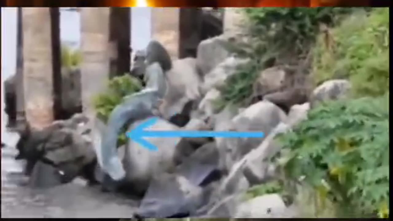 😱👻 Another Chilling Ouija Session! Is a Spirit Trying to Contact Them? | TheHauntingHour