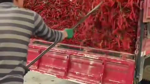 hot sauce - how it's made