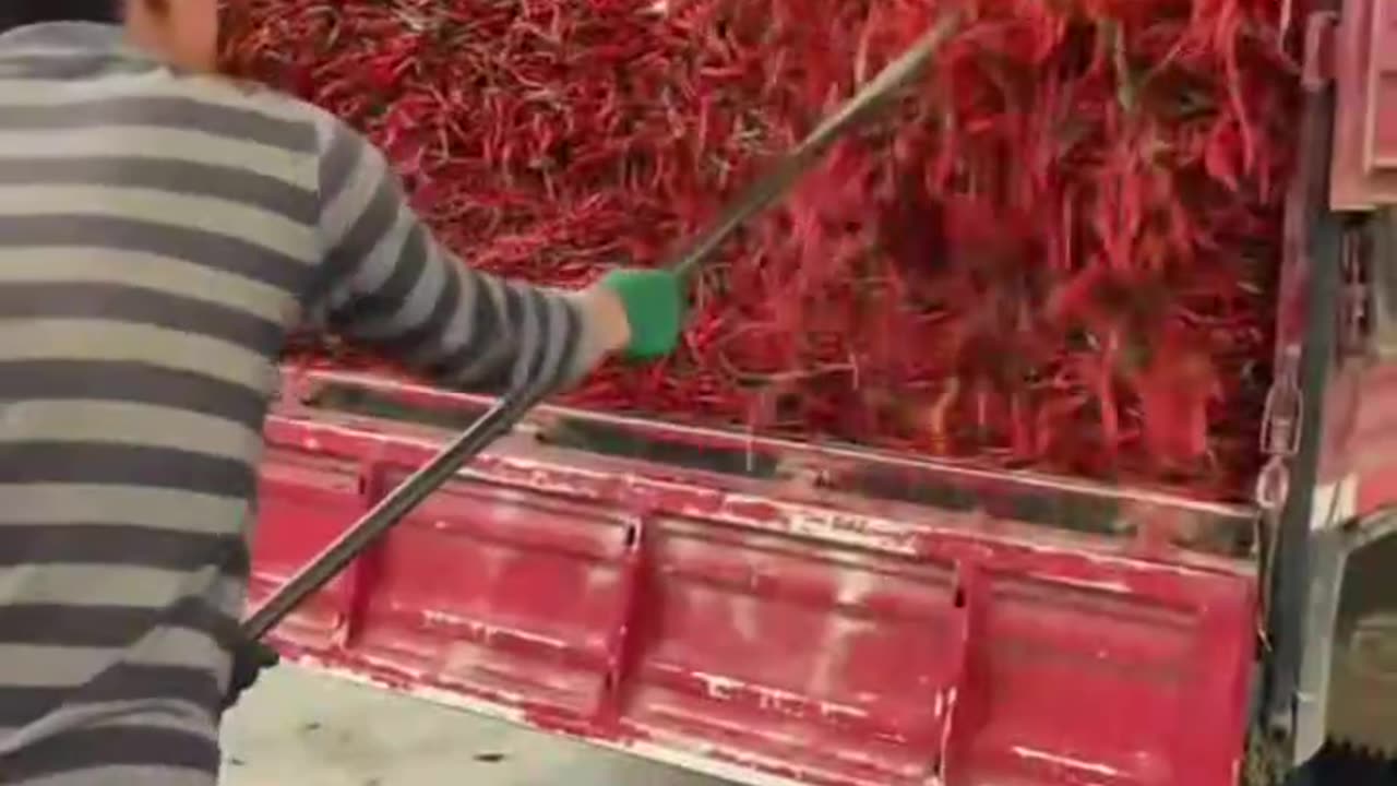 hot sauce - how it's made