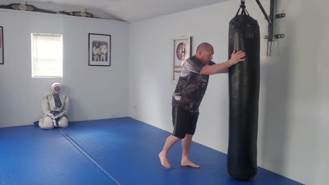 CH LLC Knee Attack System