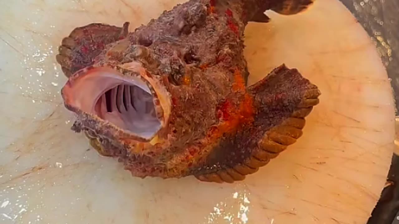 Monkey funny video | fish video 🐠 | monkey 🐒