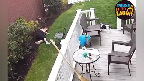 The Funniest Videos of 2025 😂 Try Not to Laugh!