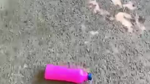 Rolling colorfull bottle on the stair 🌈👻