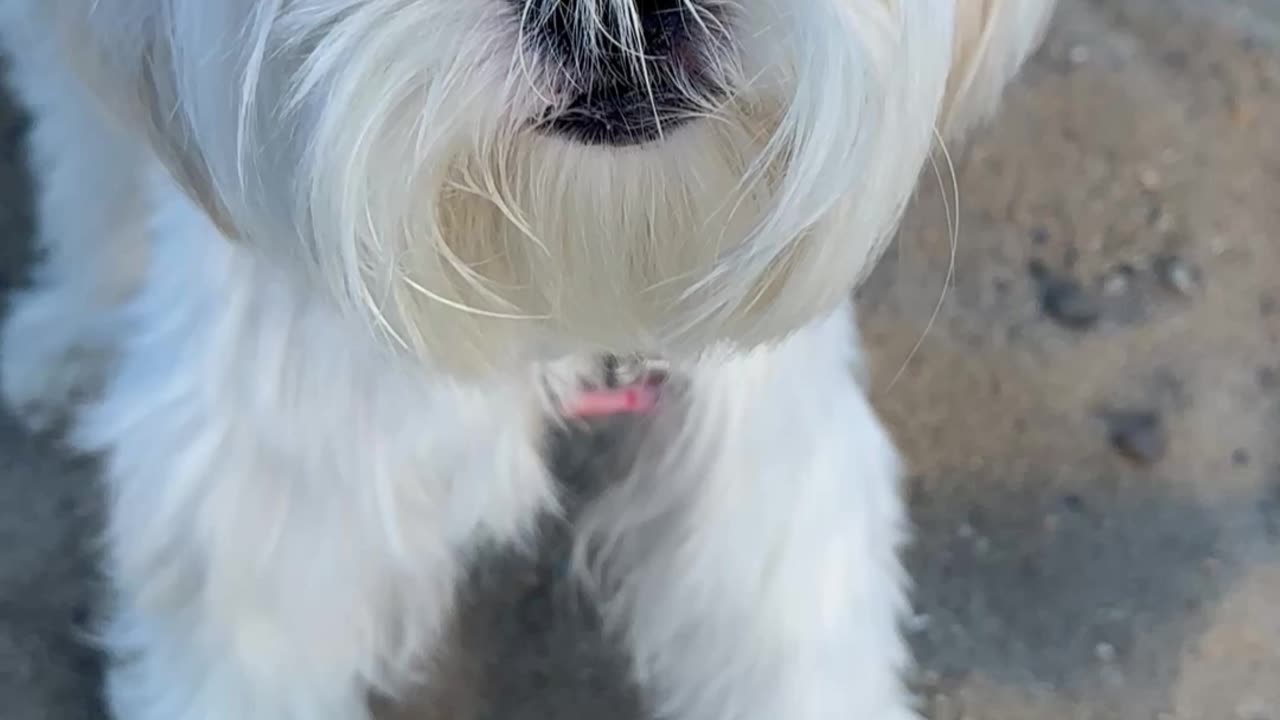 Let Go Of Your Mind And Ego