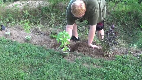 Giving to the community park