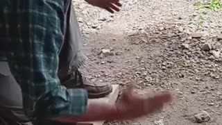 🤯🐻 You Won't Believe What Happens When Challenging a Bear Trap! | FunFM