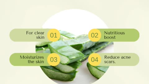 Aloe vera is absolutely healthy for your skin!🥰