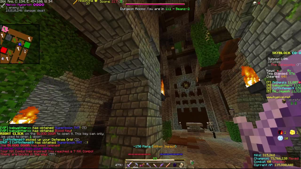 Skyblock FLOOR 7 [#2204]