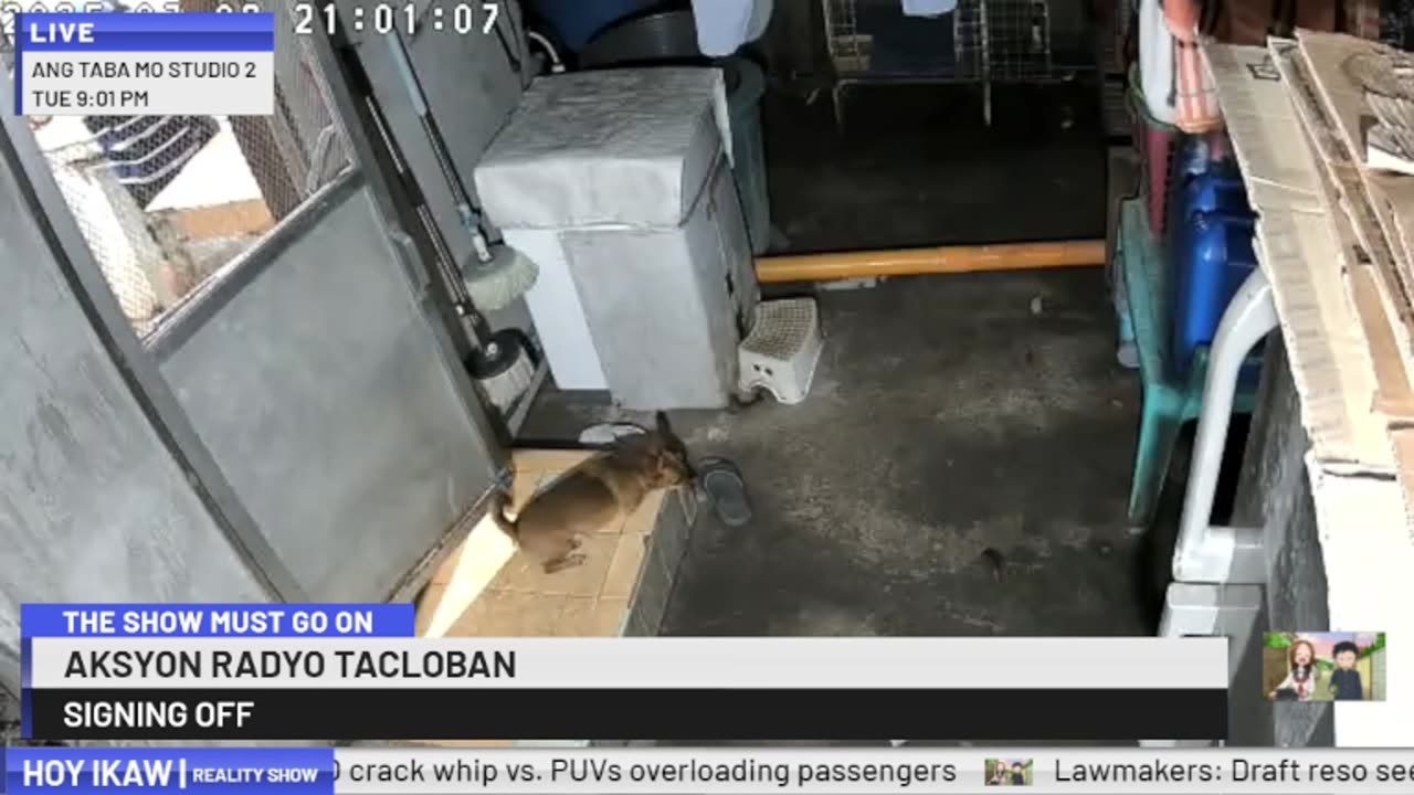 Mitsubishi Xpander 2019 Live