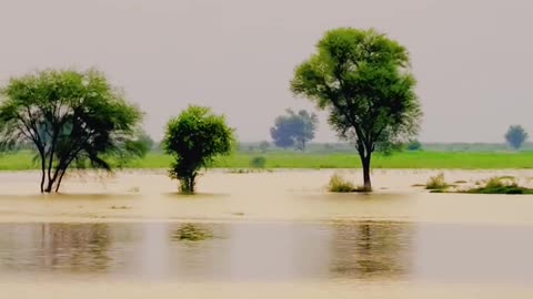 Flood Waters Devour Village ❤‍ The Unthinkable Happens #Flood #Rain #maxrecords