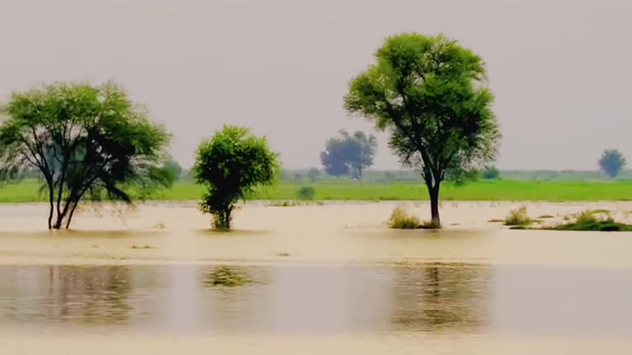Flood Waters Devour Village ❤ The Unthinkable Happens #Flood #Rain #maxrecords