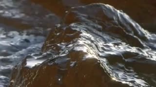 Whom, When, How to Deliver