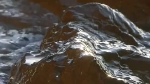 Whom, When, How to Deliver