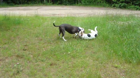 IN LOVING MEMORY OF HEIDI AND MICKEY