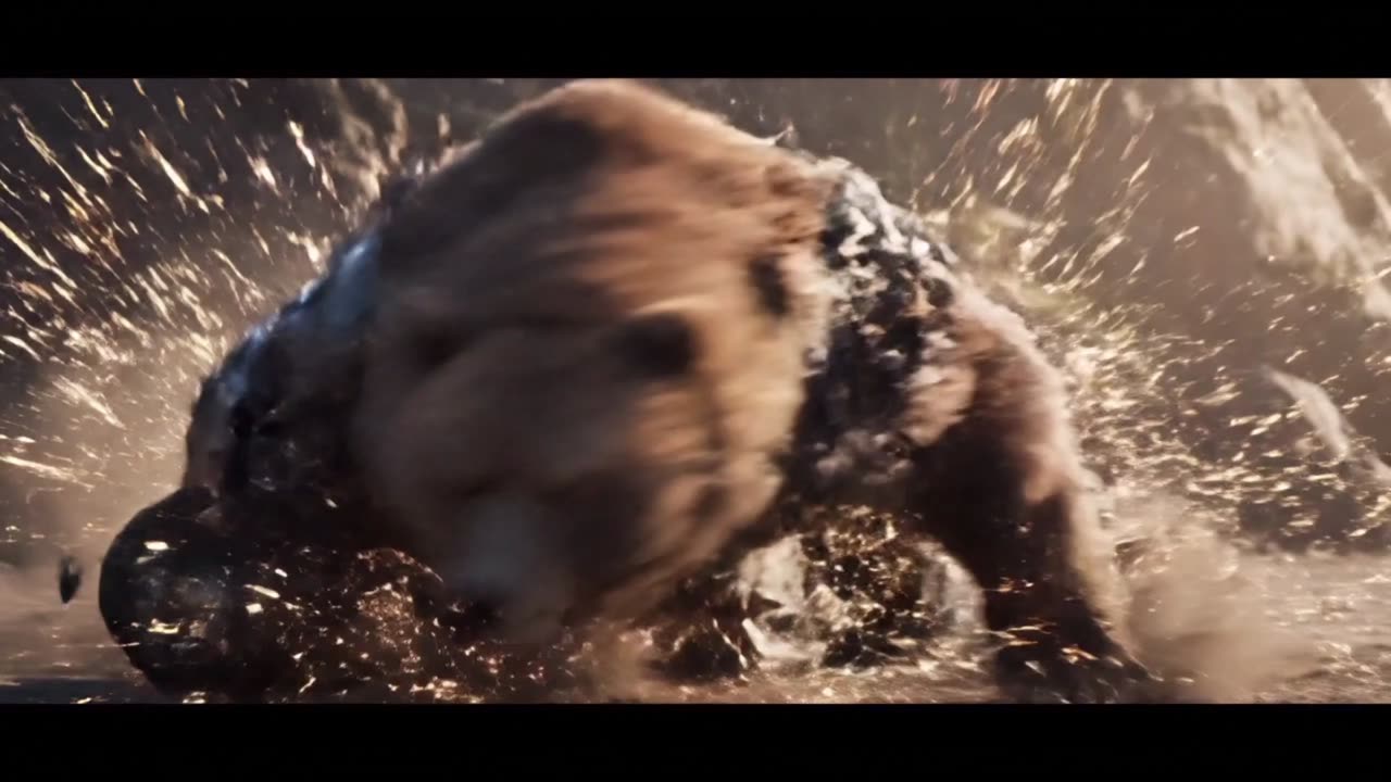 Animal transformations