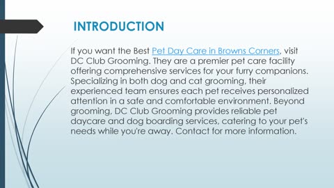 Best Pet Day Care in Browns Corners