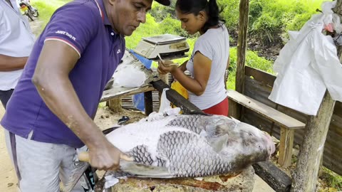 Unseen! Fishmonger's Secret Of Hidden Village Freshwater Fish Market