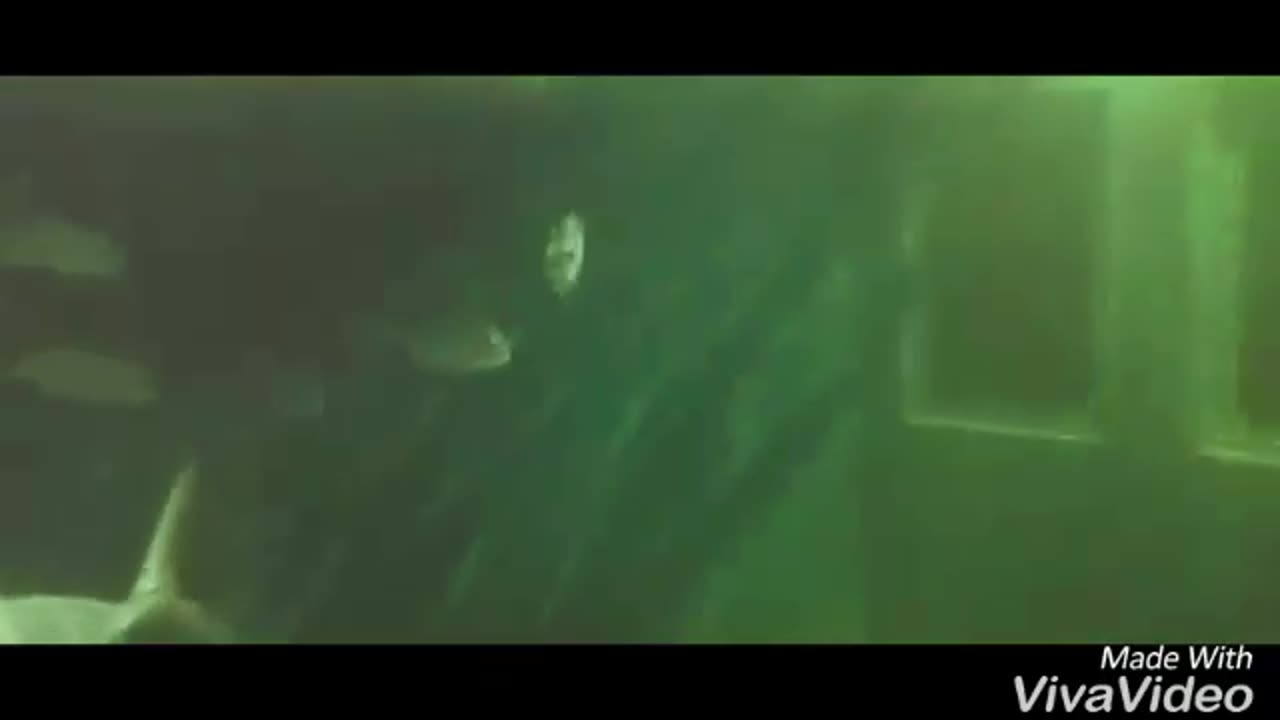 AQUÁRIO NA CIDADE DE CABO FRIO MARINHA