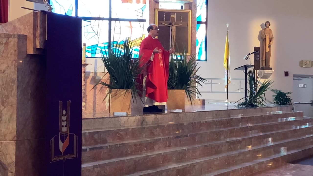 Father Martin Dunne homily Palm Sunday 4/13/25 Luke 22:14-23:56