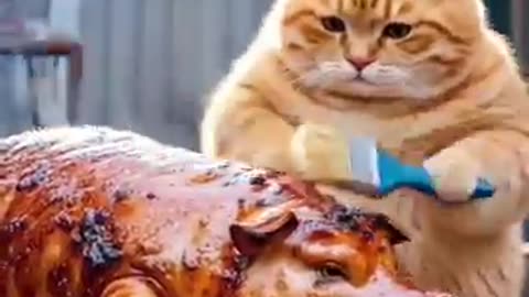 A cat that hunts hunters