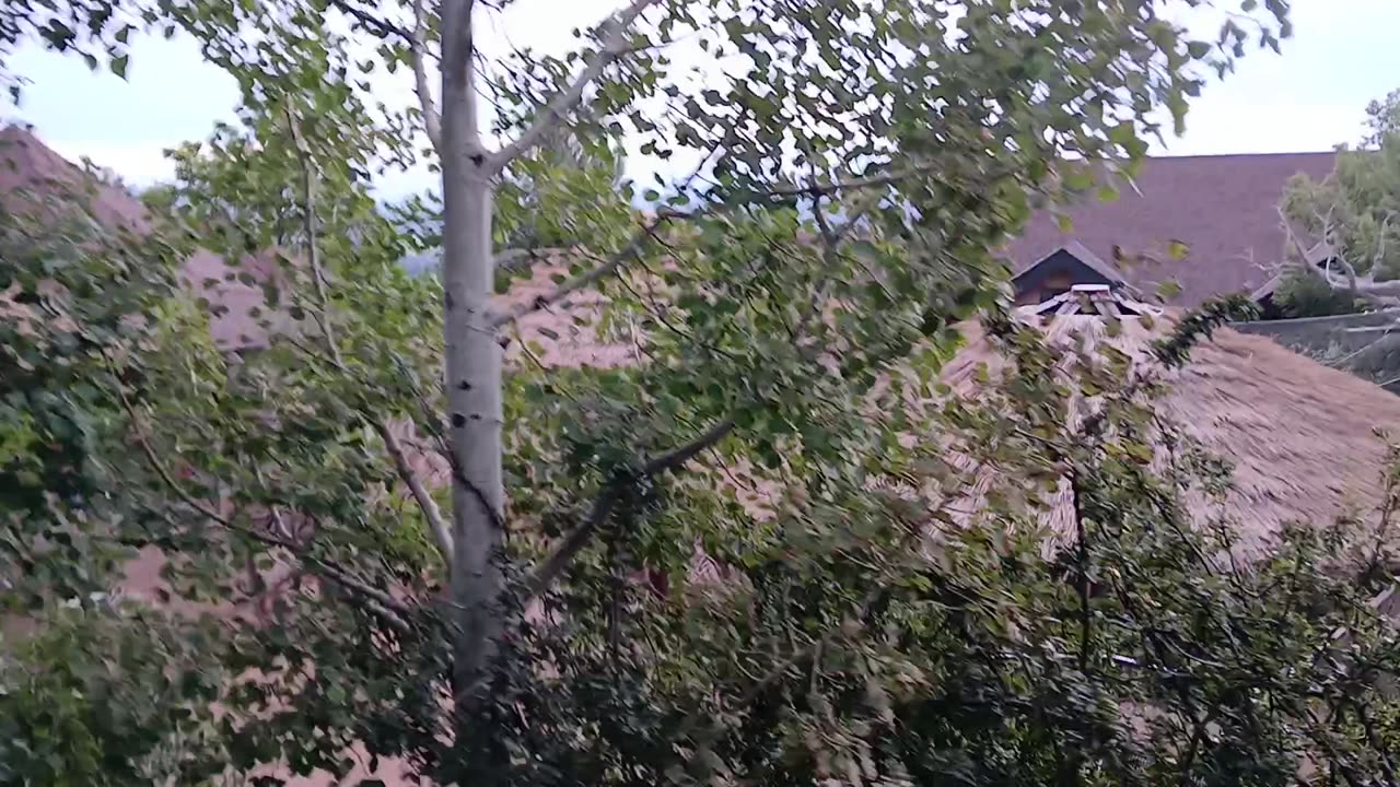 Cheyenne Mountain Zoo Part 10