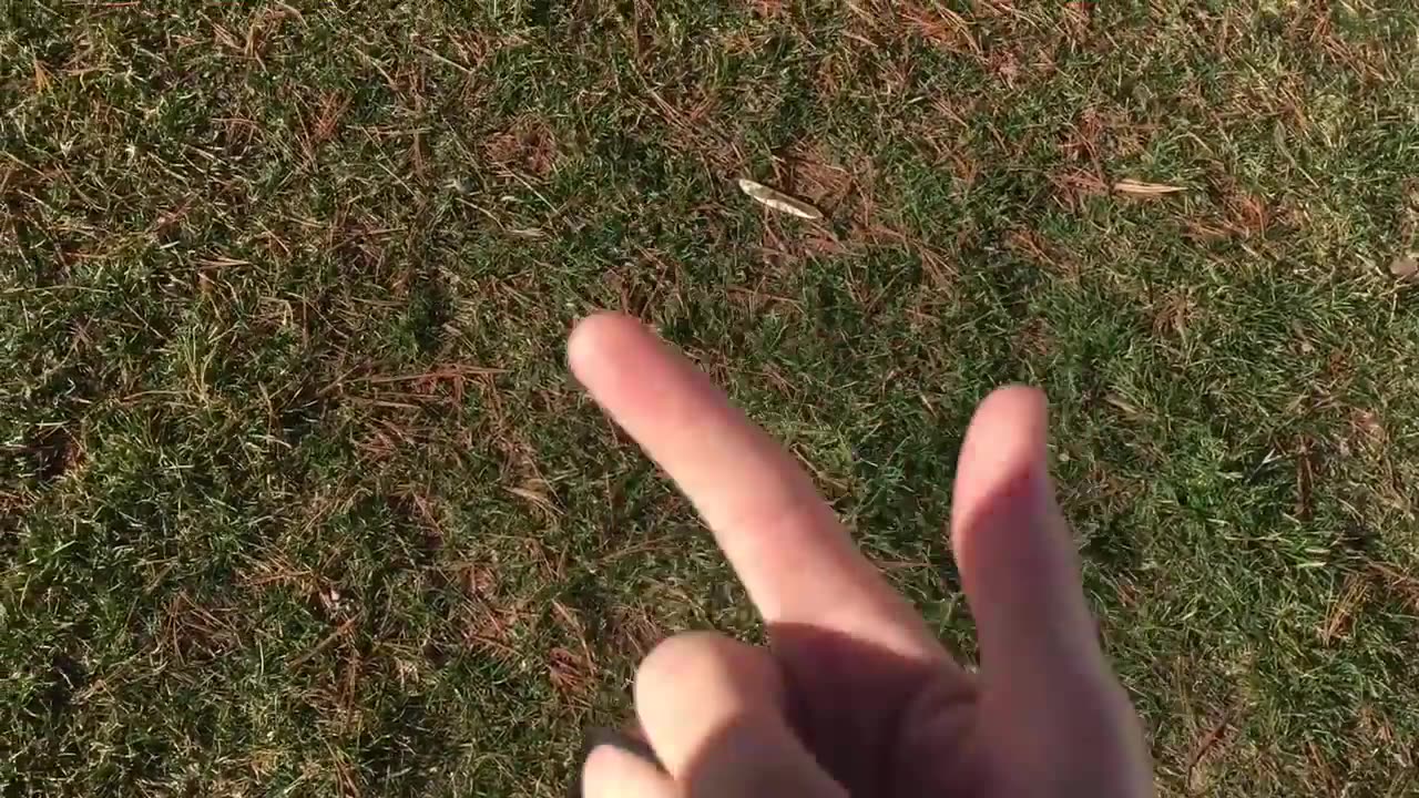Begleri tutorial pistol rolls