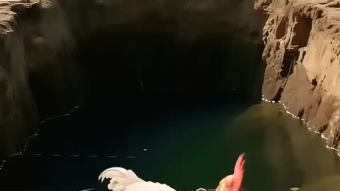 Try not to laugh